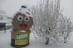 FCO Faschingsmännchen01022015_002