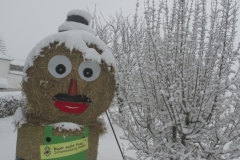 FCO Faschingsmännchen01022015_003